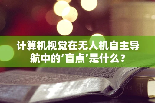 计算机视觉在无人机自主导航中的‘盲点’是什么？