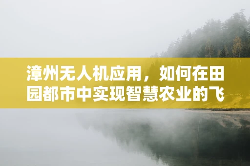 漳州无人机应用，如何在田园都市中实现智慧农业的飞跃？