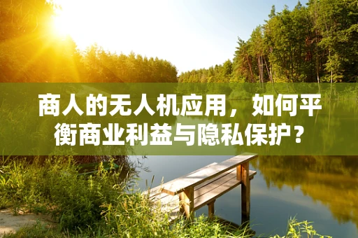 商人的无人机应用，如何平衡商业利益与隐私保护？