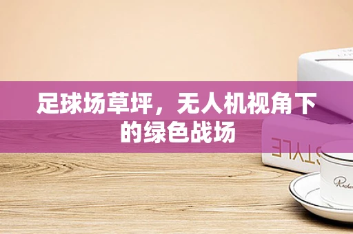 足球场草坪，无人机视角下的绿色战场