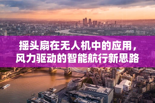 摇头扇在无人机中的应用，风力驱动的智能航行新思路？