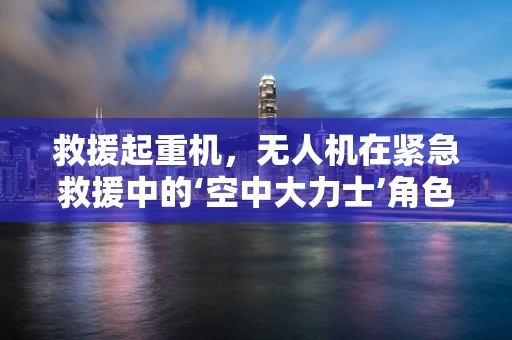 救援起重机，无人机在紧急救援中的‘空中大力士’角色？