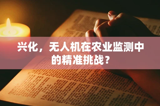兴化，无人机在农业监测中的精准挑战？