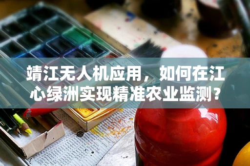 靖江无人机应用，如何在江心绿洲实现精准农业监测？