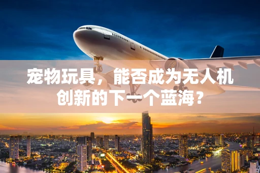 宠物玩具，能否成为无人机创新的下一个蓝海？