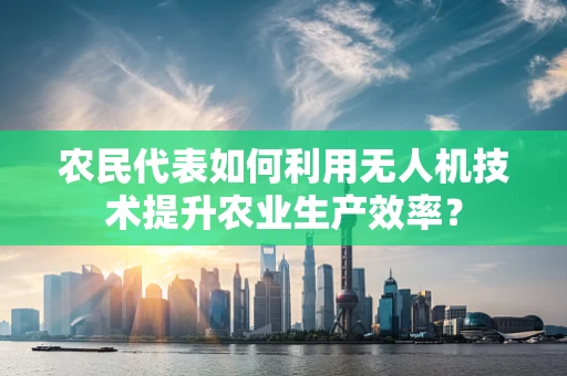 农民代表如何利用无人机技术提升农业生产效率？