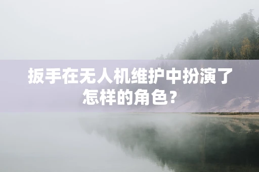 扳手在无人机维护中扮演了怎样的角色？