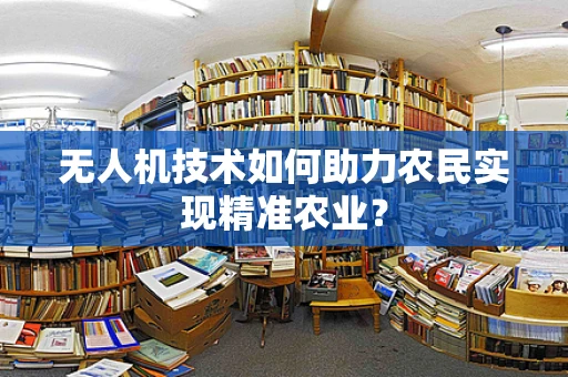 无人机技术如何助力农民实现精准农业？