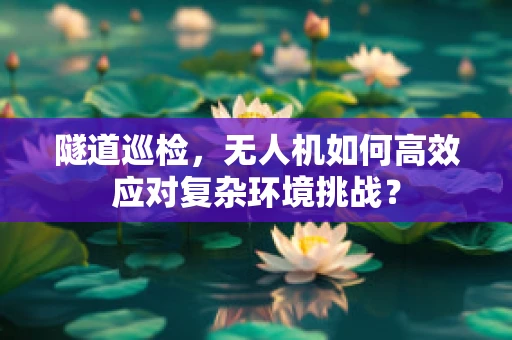 隧道巡检，无人机如何高效应对复杂环境挑战？