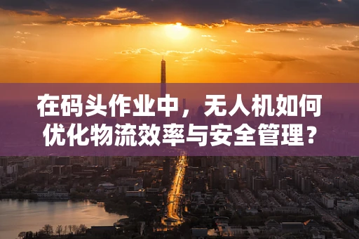 在码头作业中，无人机如何优化物流效率与安全管理？