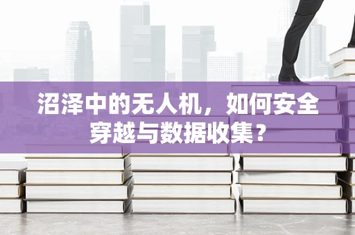 沼泽中的无人机，如何安全穿越与数据收集？