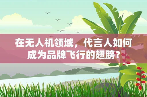 在无人机领域，代言人如何成为品牌飞行的翅膀？
