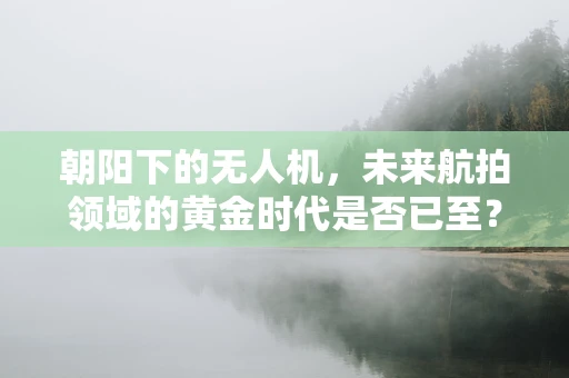 朝阳下的无人机，未来航拍领域的黄金时代是否已至？