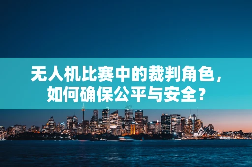 无人机比赛中的裁判角色，如何确保公平与安全？