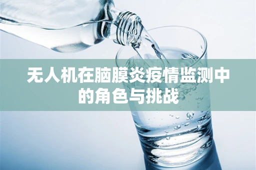 无人机在脑膜炎疫情监测中的角色与挑战
