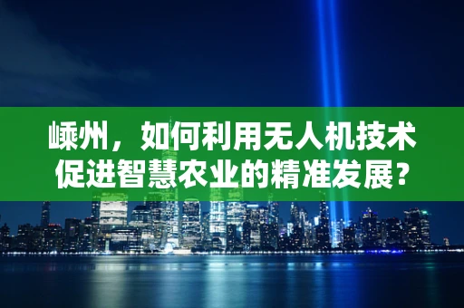嵊州，如何利用无人机技术促进智慧农业的精准发展？