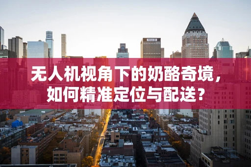 无人机视角下的奶酪奇境，如何精准定位与配送？