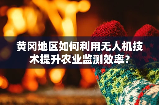 黄冈地区如何利用无人机技术提升农业监测效率？