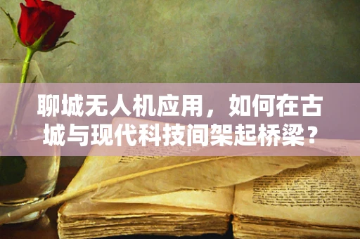 聊城无人机应用，如何在古城与现代科技间架起桥梁？