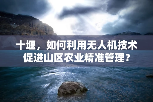 十堰，如何利用无人机技术促进山区农业精准管理？