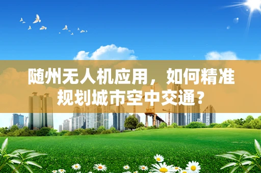 随州无人机应用，如何精准规划城市空中交通？