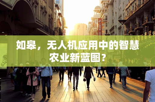 如皋，无人机应用中的智慧农业新蓝图？