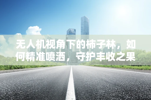 无人机视角下的柿子林，如何精准喷洒，守护丰收之果？