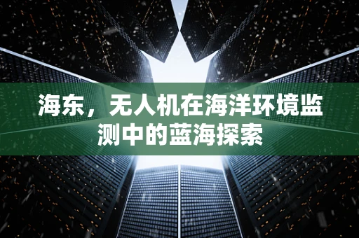 海东，无人机在海洋环境监测中的蓝海探索