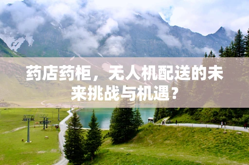 药店药柜，无人机配送的未来挑战与机遇？