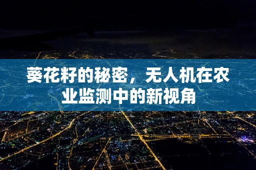 葵花籽的秘密，无人机在农业监测中的新视角