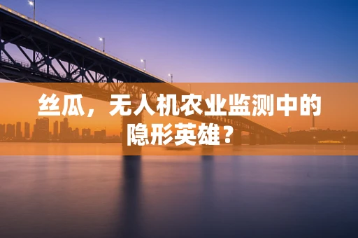 丝瓜，无人机农业监测中的隐形英雄？