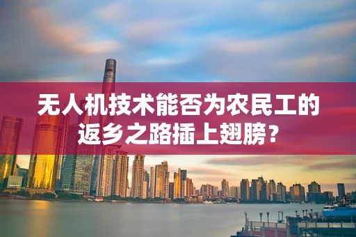 无人机技术能否为农民工的返乡之路插上翅膀？