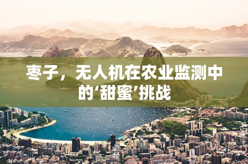 枣子，无人机在农业监测中的‘甜蜜’挑战