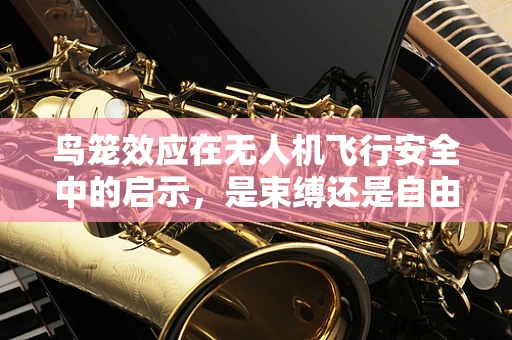 鸟笼效应在无人机飞行安全中的启示，是束缚还是自由？