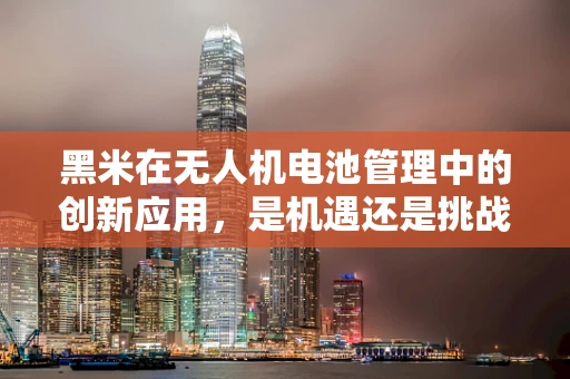 黑米在无人机电池管理中的创新应用，是机遇还是挑战？