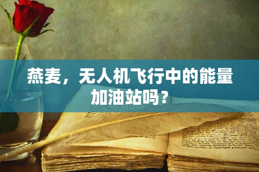 燕麦，无人机飞行中的能量加油站吗？