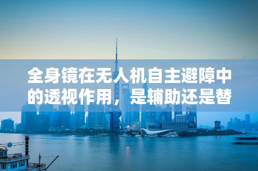 全身镜在无人机自主避障中的透视作用，是辅助还是替代？