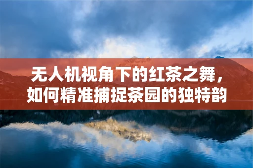 无人机视角下的红茶之舞，如何精准捕捉茶园的独特韵味？