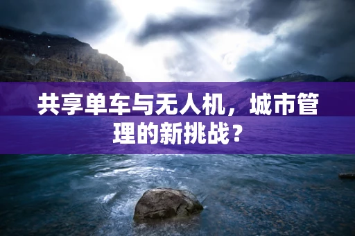 共享单车与无人机，城市管理的新挑战？