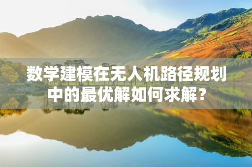 数学建模在无人机路径规划中的最优解如何求解？