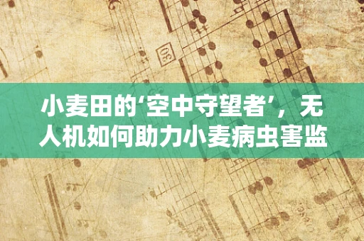 小麦田的‘空中守望者’，无人机如何助力小麦病虫害监测？