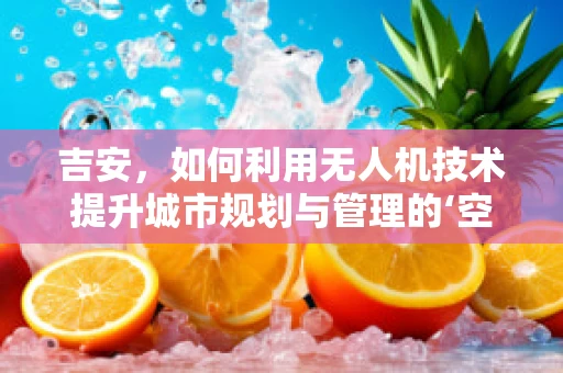 吉安，如何利用无人机技术提升城市规划与管理的‘空中视角’？