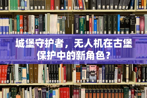 城堡守护者，无人机在古堡保护中的新角色？