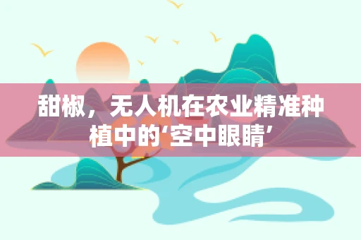 甜椒，无人机在农业精准种植中的‘空中眼睛’