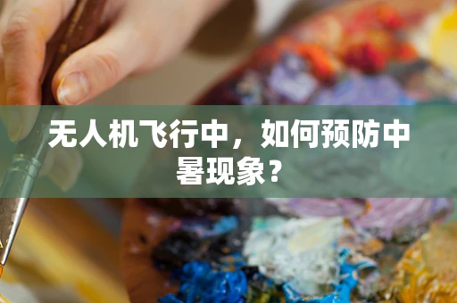 无人机飞行中，如何预防中暑现象？