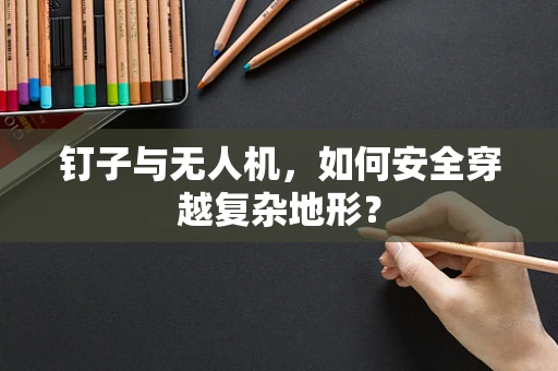 钉子与无人机，如何安全穿越复杂地形？