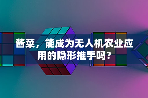 酱菜，能成为无人机农业应用的隐形推手吗？