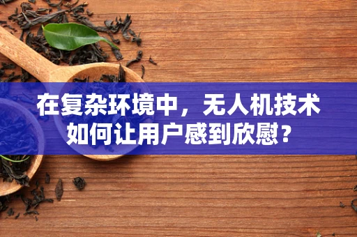 在复杂环境中，无人机技术如何让用户感到欣慰？