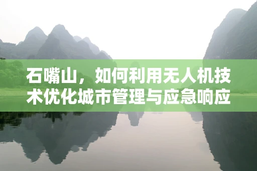 石嘴山，如何利用无人机技术优化城市管理与应急响应？