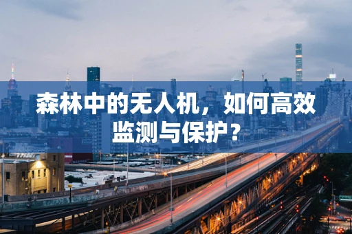 森林中的无人机，如何高效监测与保护？